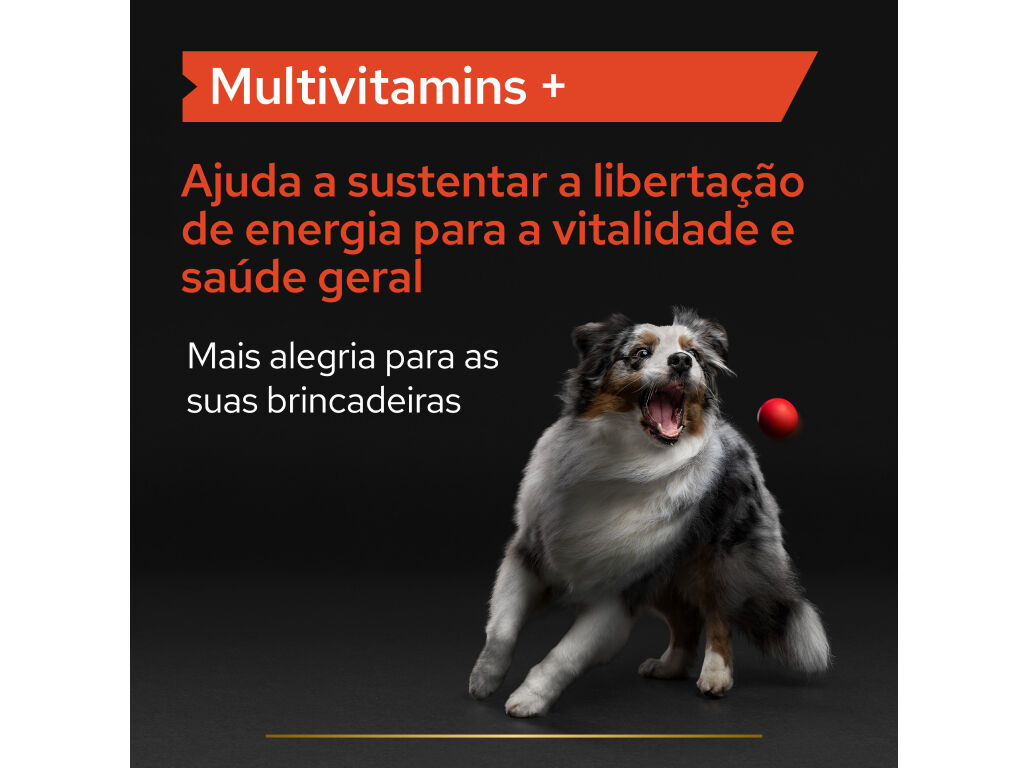 SUPLEMENTO PARA C&Atilde;O PRO PLAN MULTIVITAMINAS 67G image number 1