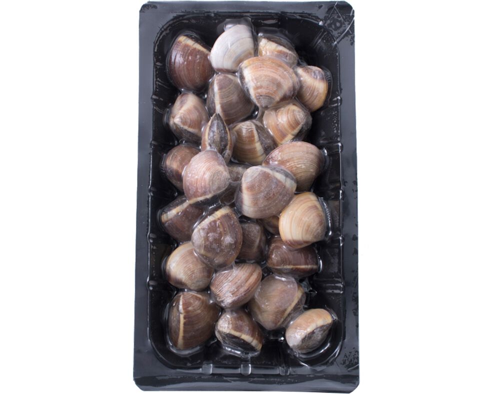 AMEIJOA VIETNAMITA CASTANHA GRANDE ULTRACONGELADA 500G