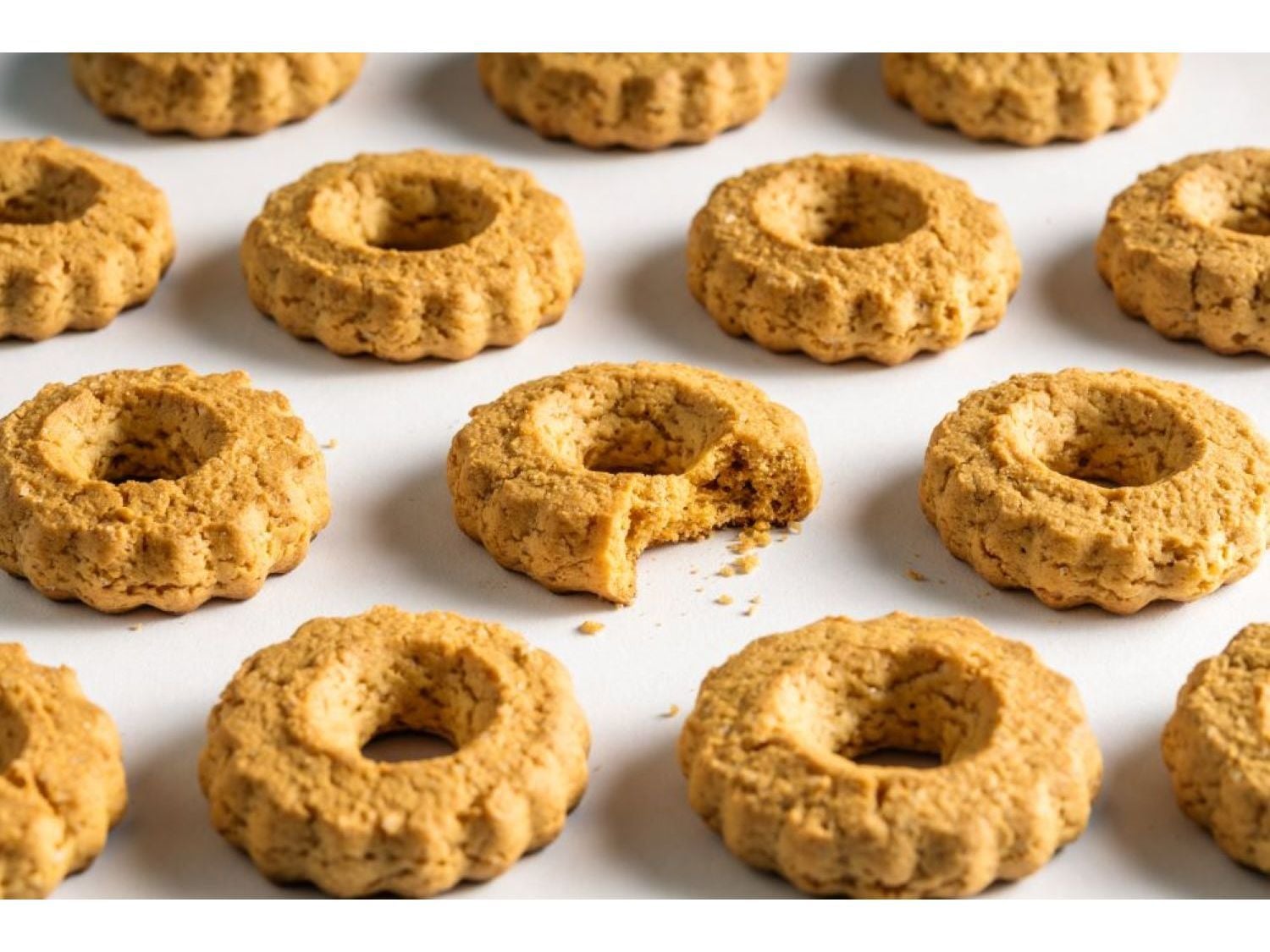 BISCOITO F&Aacute;BRICA DURIENSE ARGOLINHAS DE C&Ocirc;CO 500G image number 1