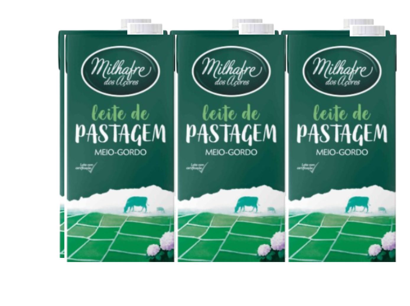 LEITE UHT MILHAFRE PASTAGEM M/GORDO 6 X1L image number 0