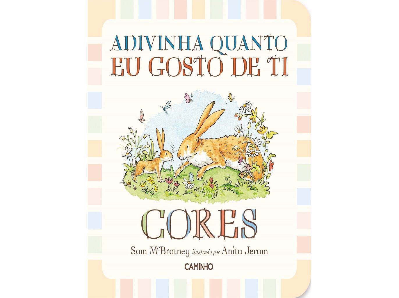 LIVRO ADIVINHA QUANTO EU GOSTO DE TI :CORES image number 1