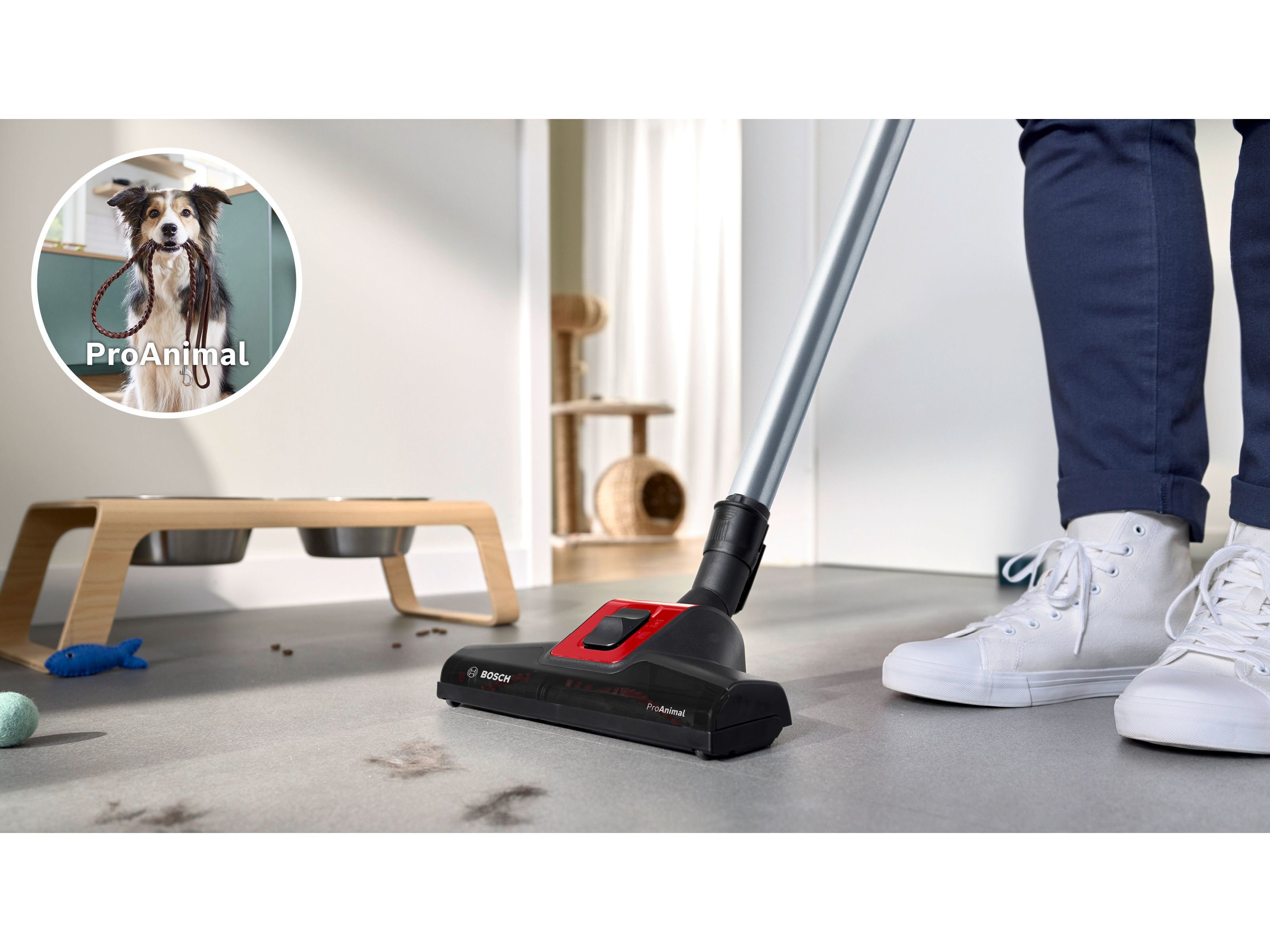 ASPIRADOR COM SACO BOSCH BGB8PET3A SERIE 8 PRO ANIMAL image number 3