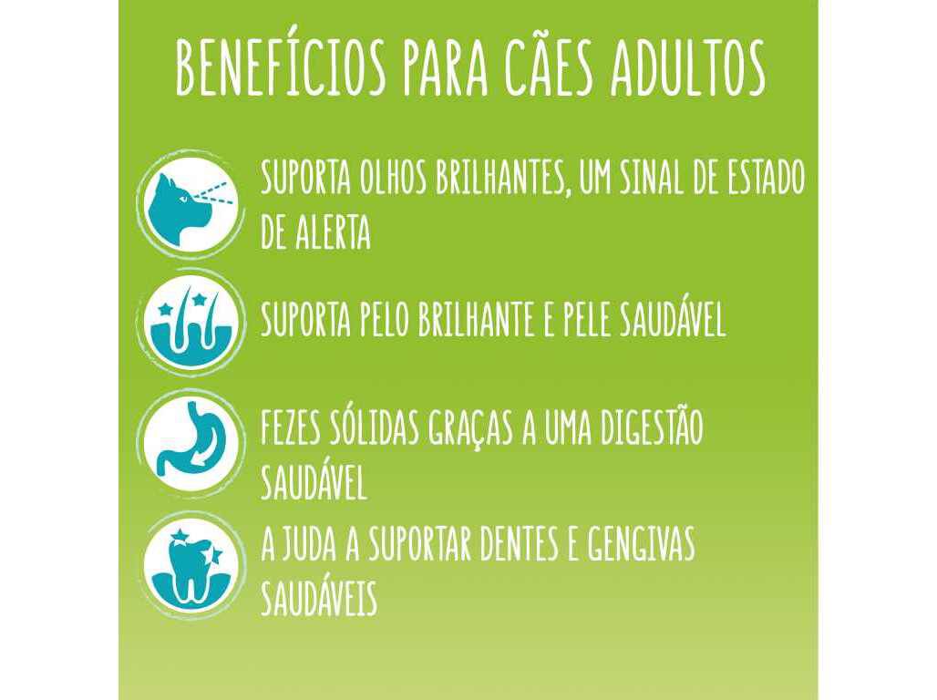 RA&Ccedil;&Atilde;O PARA C&Atilde;O FRISKIES LIGHT COM FRANGO 3KG image number 2