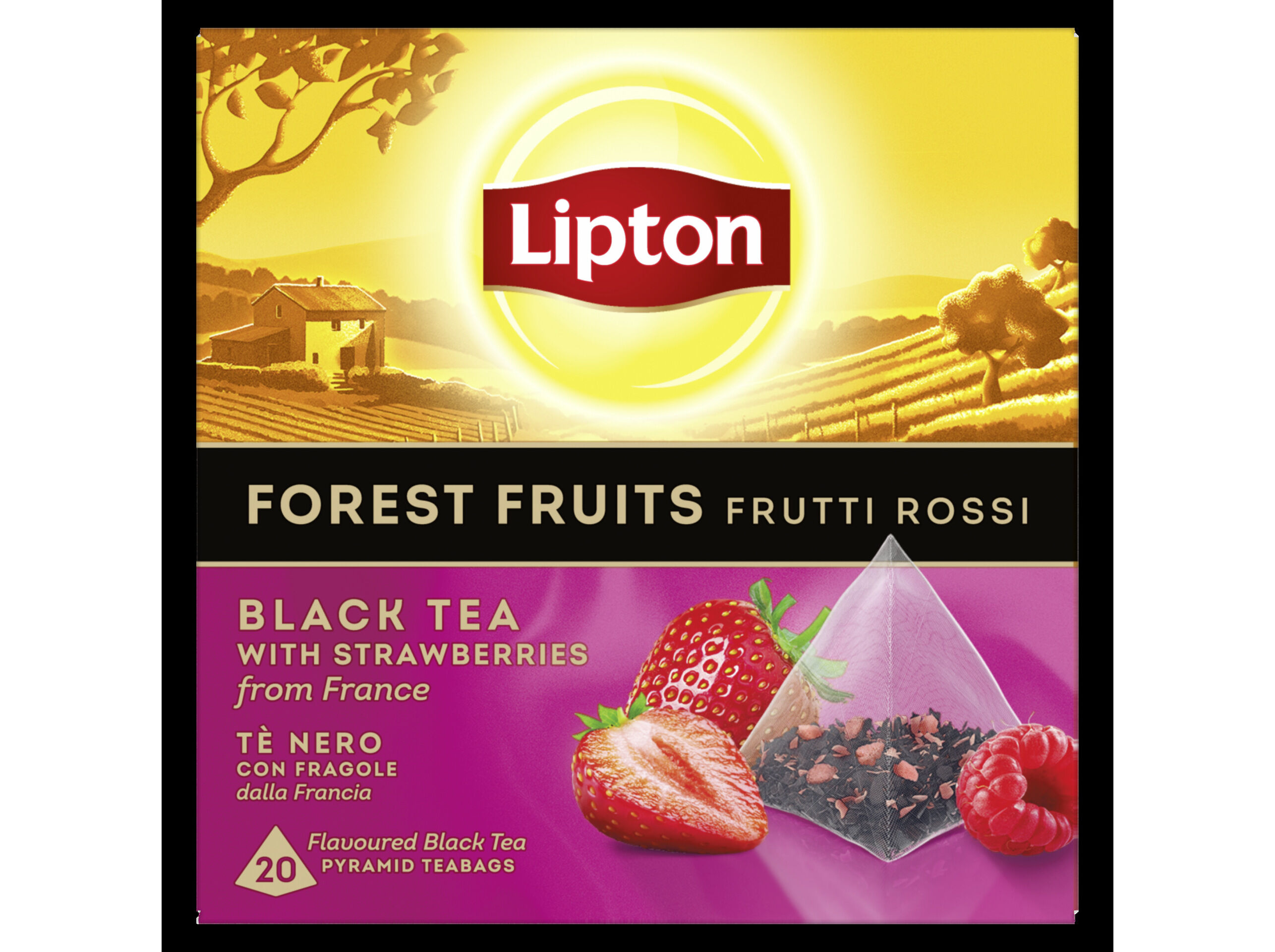 CH&Aacute; PRETO LIPTON PYRAMID FRUTOS SILVESTRES 20 UN