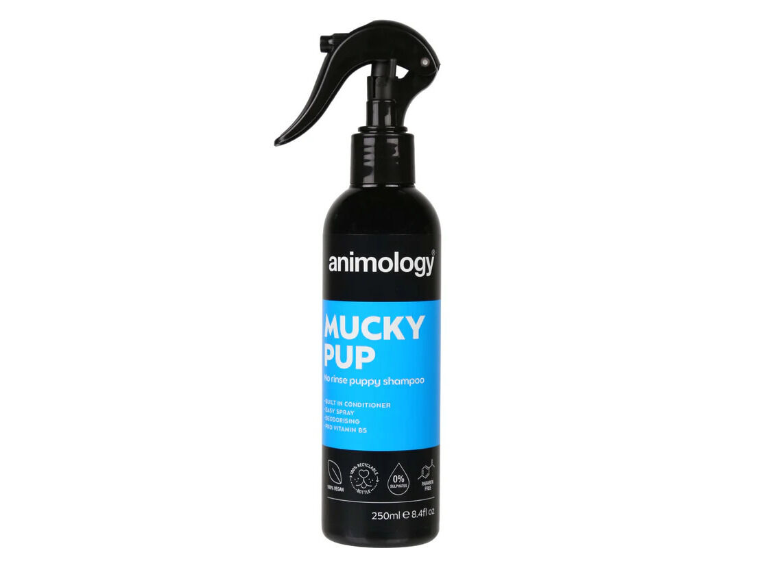 CHAMP&Ocirc; C&Atilde;O ANIMOLOGY S/ENXAGUAR MUCKY PUP 250ML