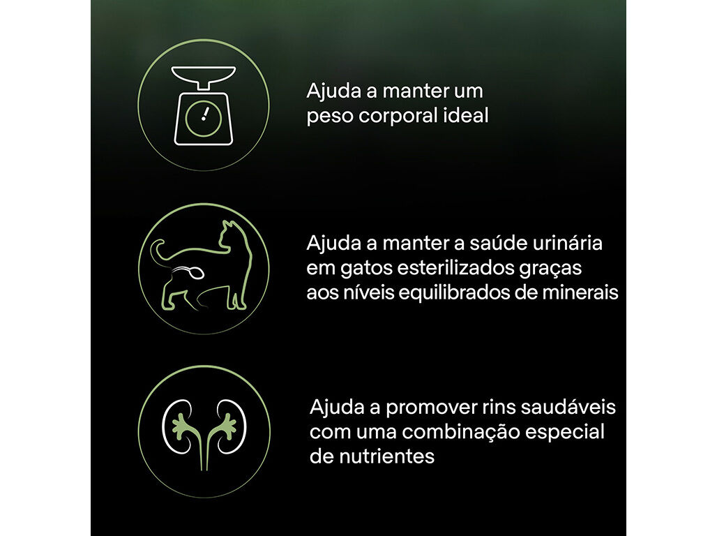 RA&Ccedil;&Atilde;O PARA GATO PRO PLAN LIVE CLEAR SALM&Atilde;O 2.8KG image number 5