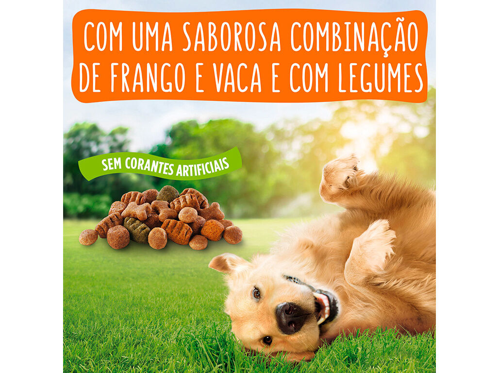 RA&Ccedil;&Atilde;O PARA C&Atilde;O FRISKIES BALANCE COM FRANGO 4KG image number 4