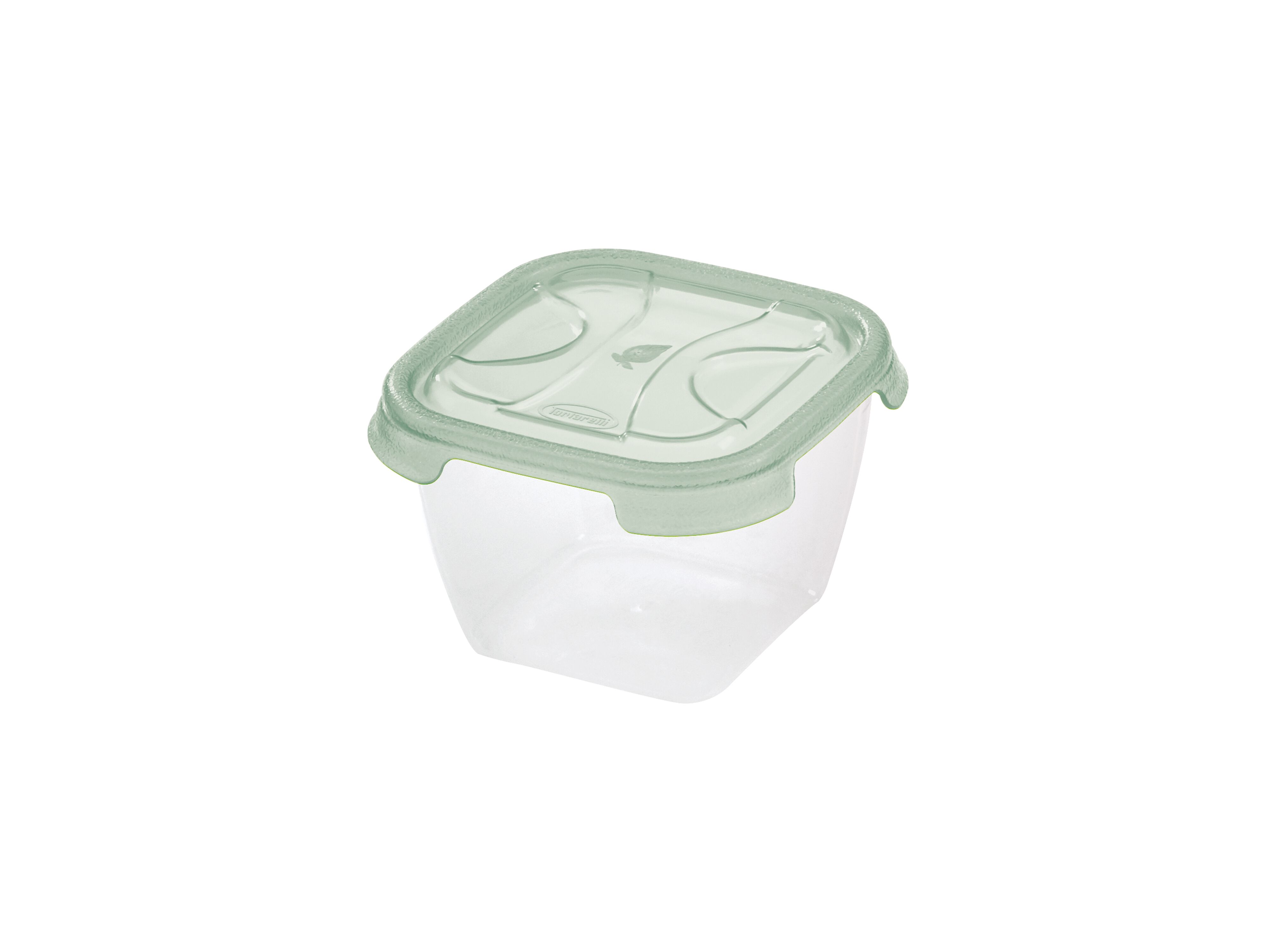 CAIXA CONSERVA&Ccedil;&Atilde;O ACTUEL PL&Aacute;STICO 0.25L image number 1