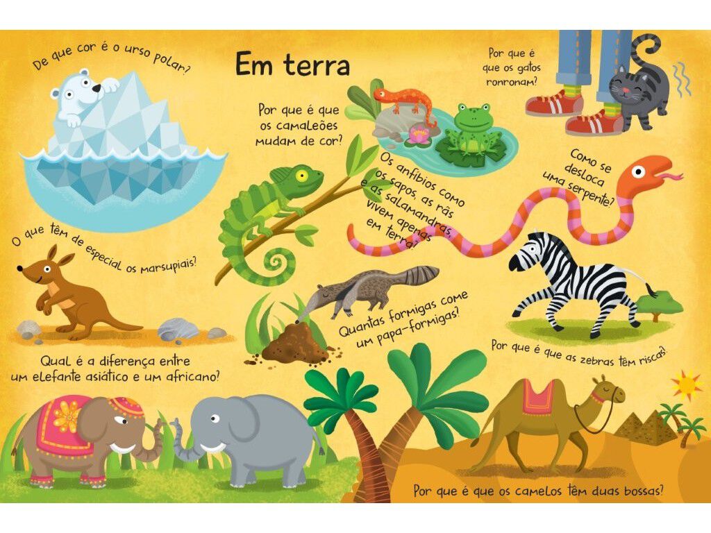 LIVRO O GRANDE LIVRO DE RESPOSTAS: ANIMAIS image number 1
