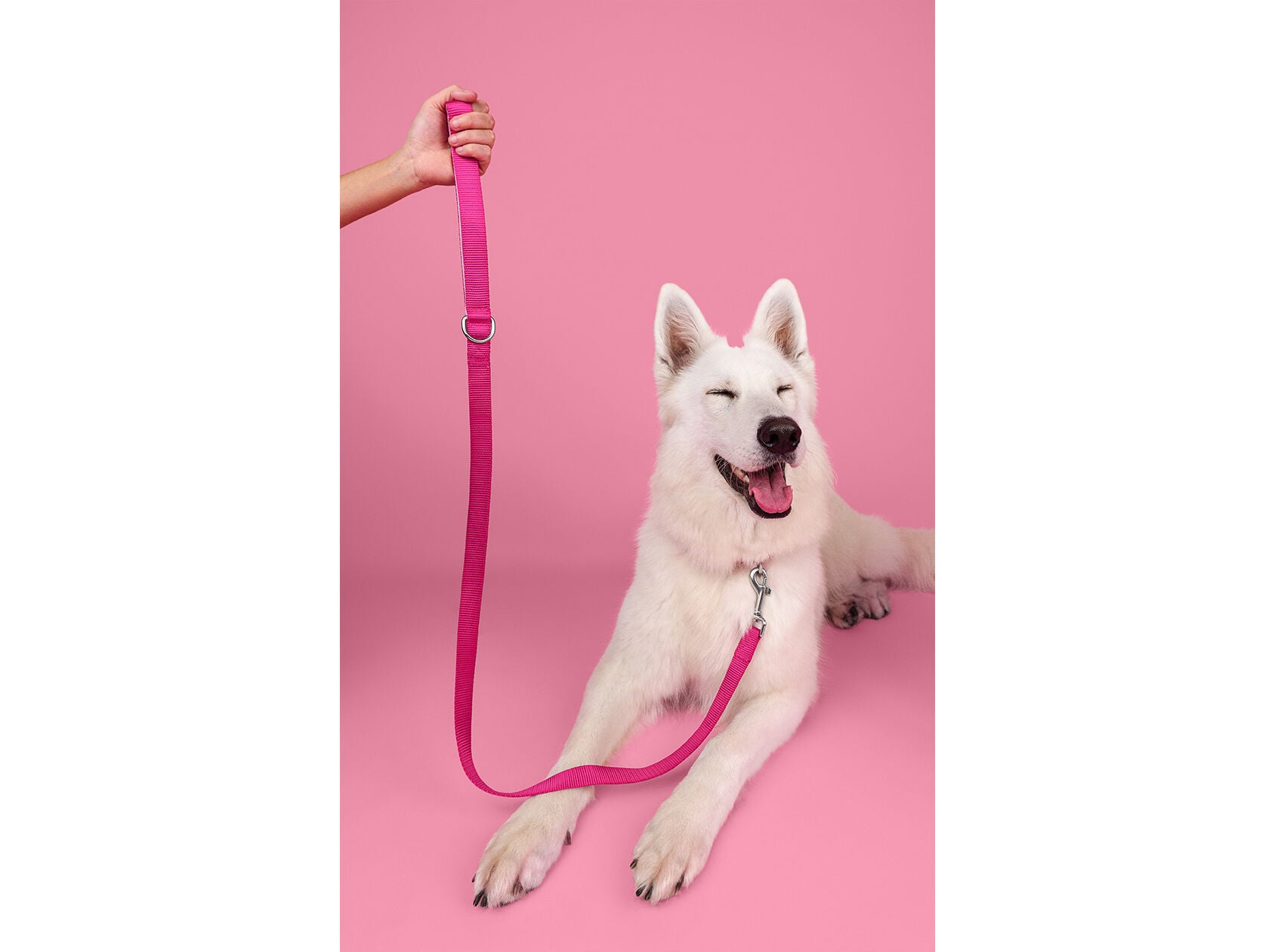 TRELA PARA C&Atilde;O DASHI ELEMENTS PINK S image number 1