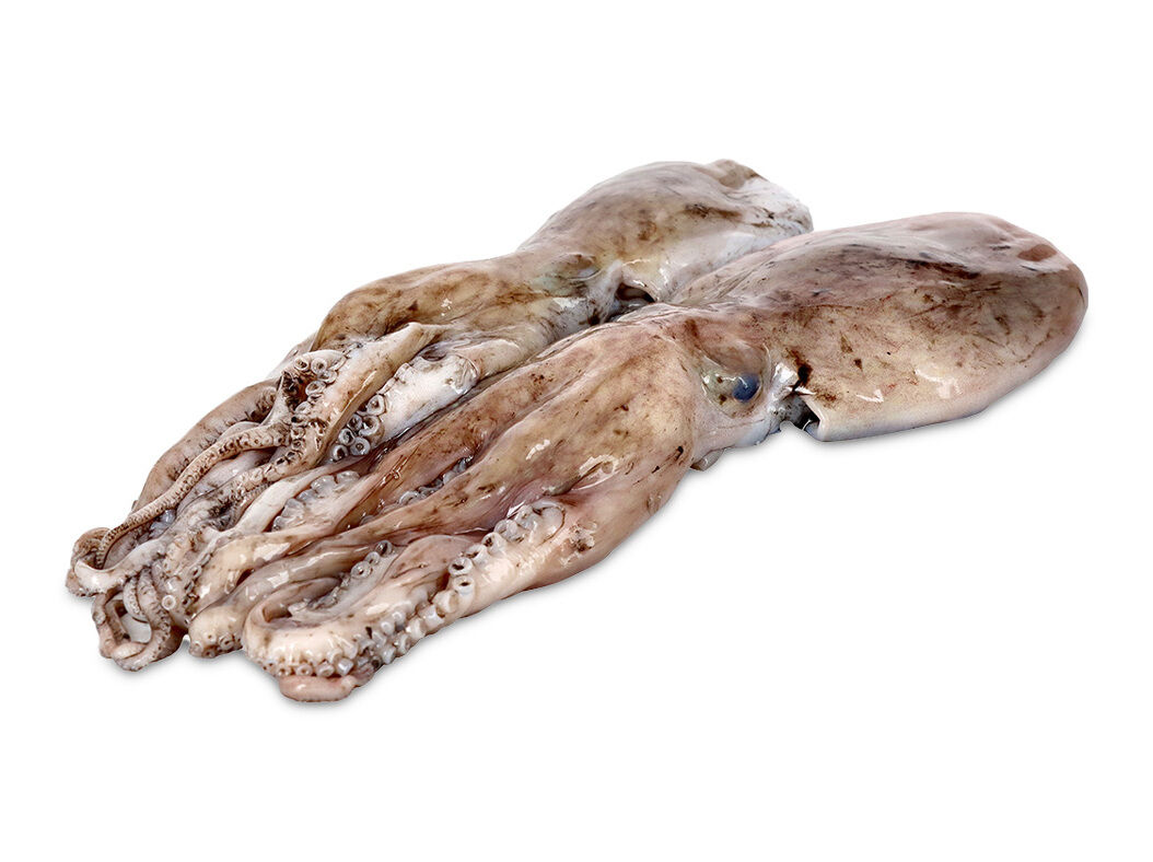 POLVO CABE&Ccedil;UDO KG image number 0