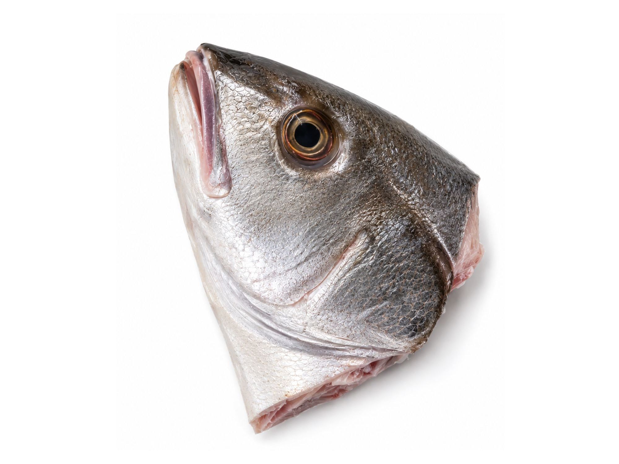 CABE&Ccedil;A DE CORVINA KG