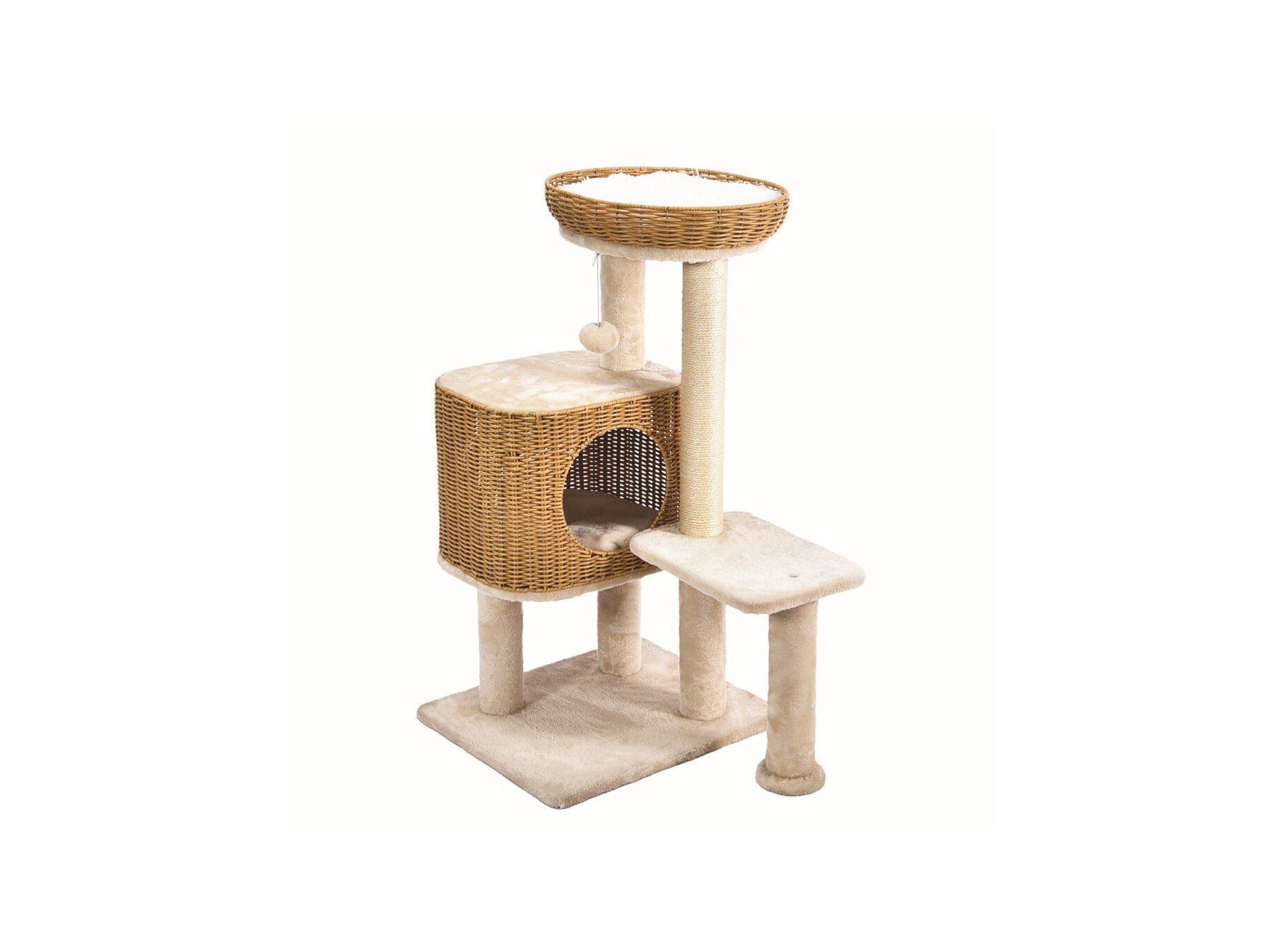 GIN&Aacute;SIO PARA GATO RIGA PABLO