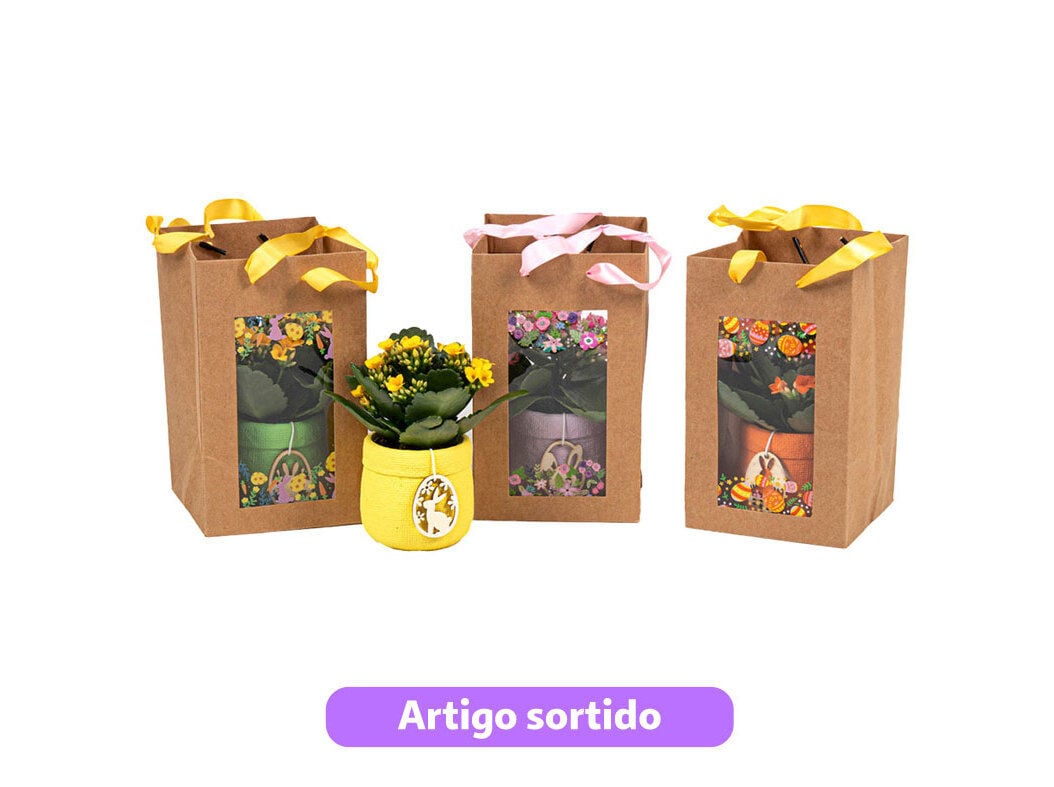 MINI KALANCHOE DECORA&Ccedil;&Atilde;O P&Aacute;SCOA EMBALAGEM GIFT VASO 6 MODELOS SORTIDOS