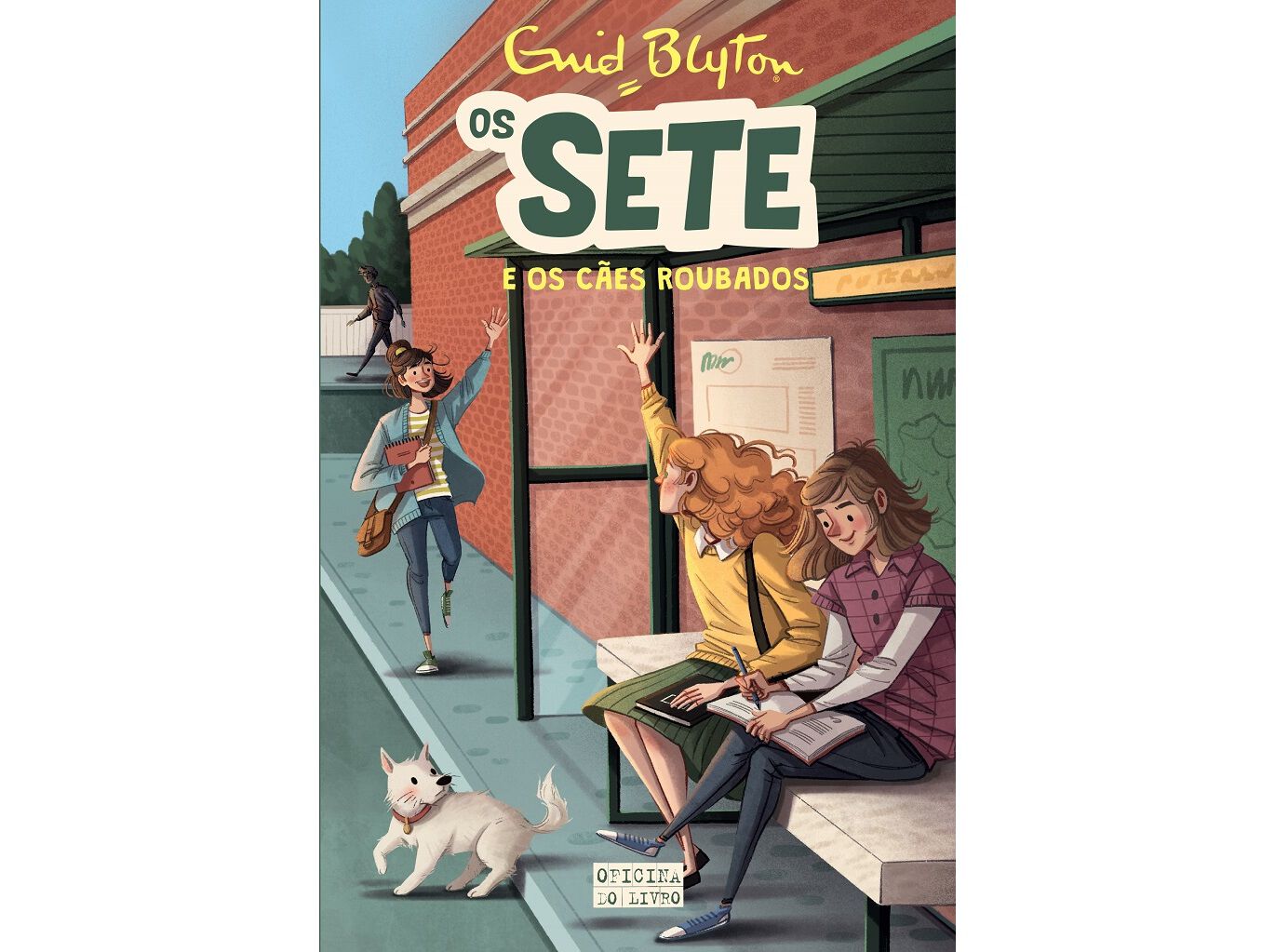 OS SETE E OS C&Atilde;ES ROUBADOS