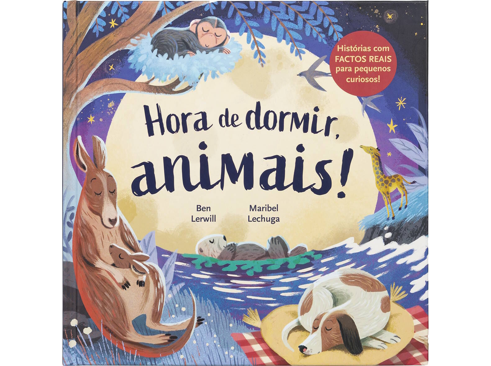 LIVRO HORA DE DORMIR ANIMAIS! image number 0