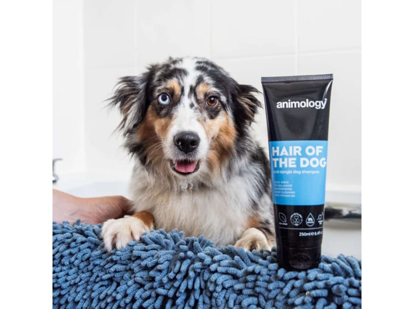 CHAMP&Ocirc; C&Atilde;O ANIMOLOGY HAIR OF THE DOG 250ML image number 1