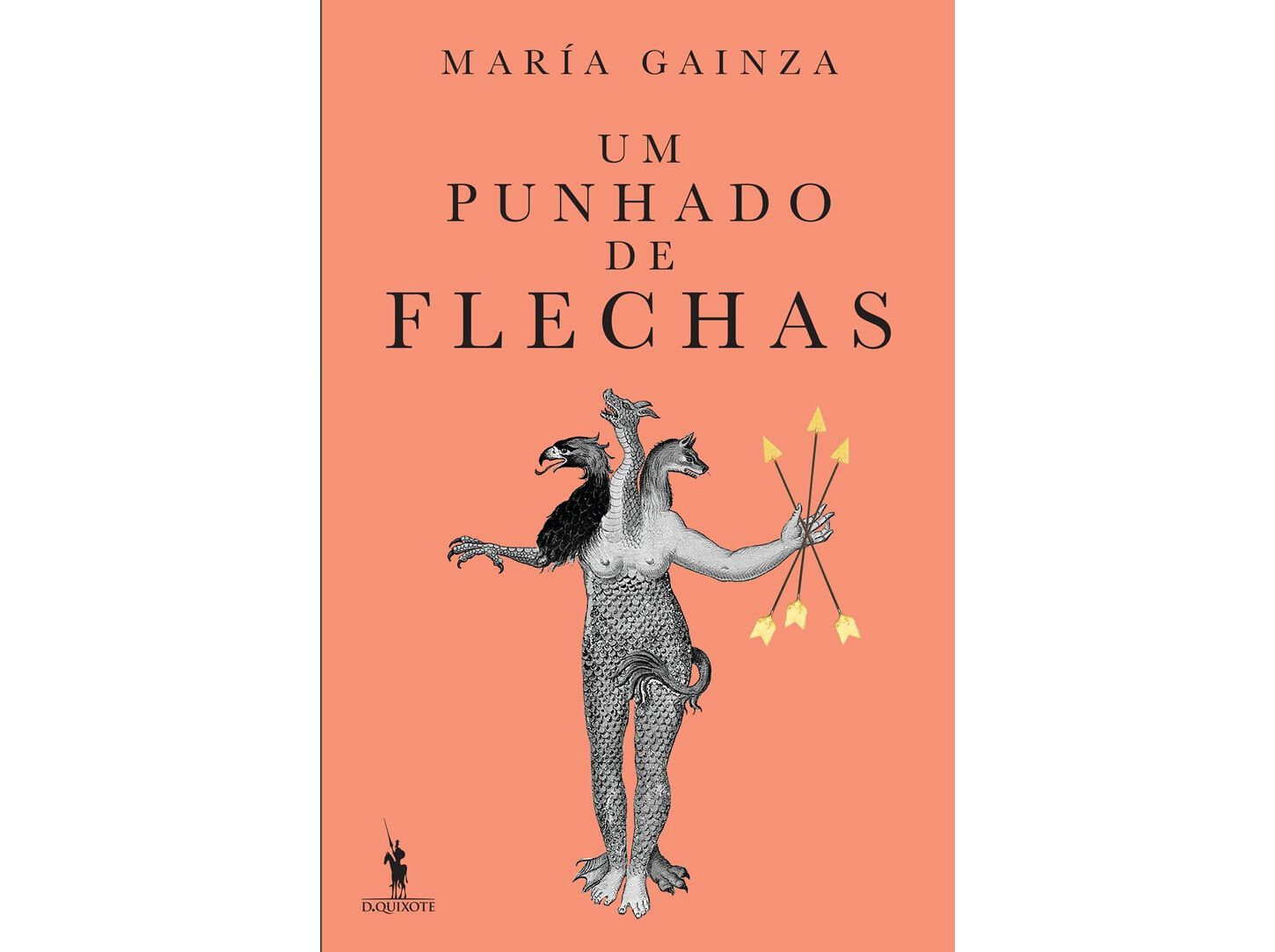 LIVRO UM PUNHADO DE FLECHAS DE MAR&Iacute;A GAINZA image number 0