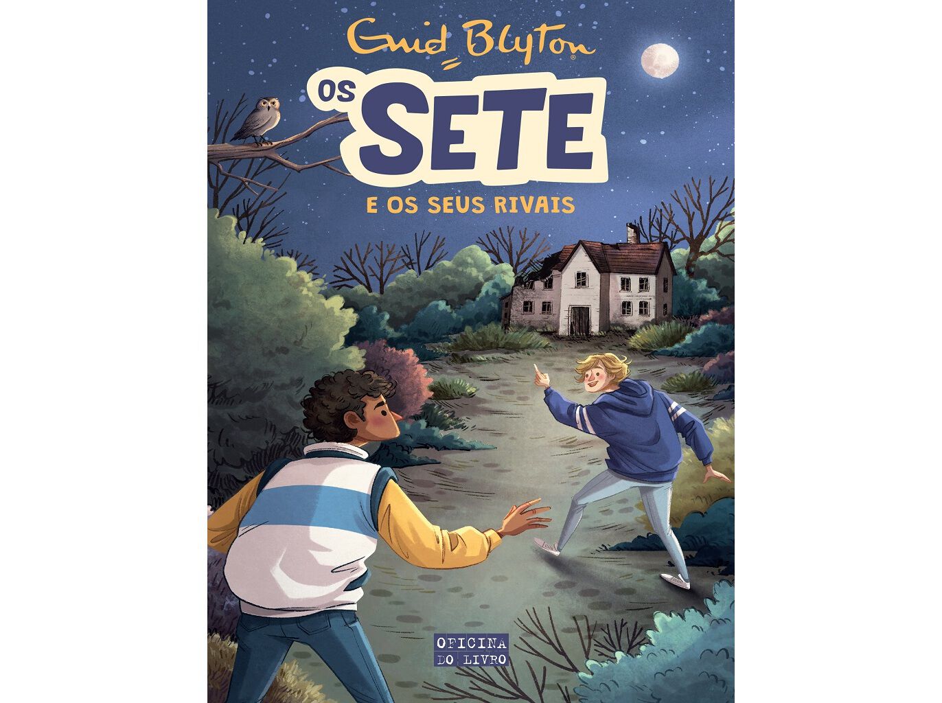 LIVRO OS SETE N04 :OS SETE E OS SEUS RIVAIS image number 0