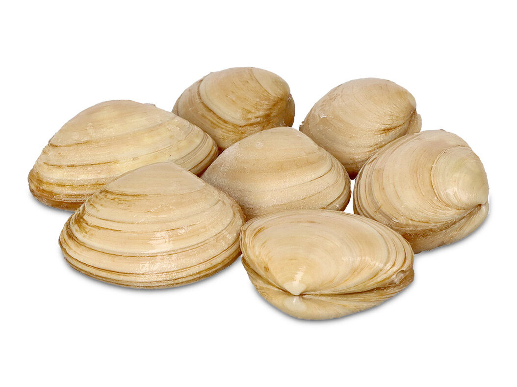 AMEIJOA BRANCA CONGELADA KG