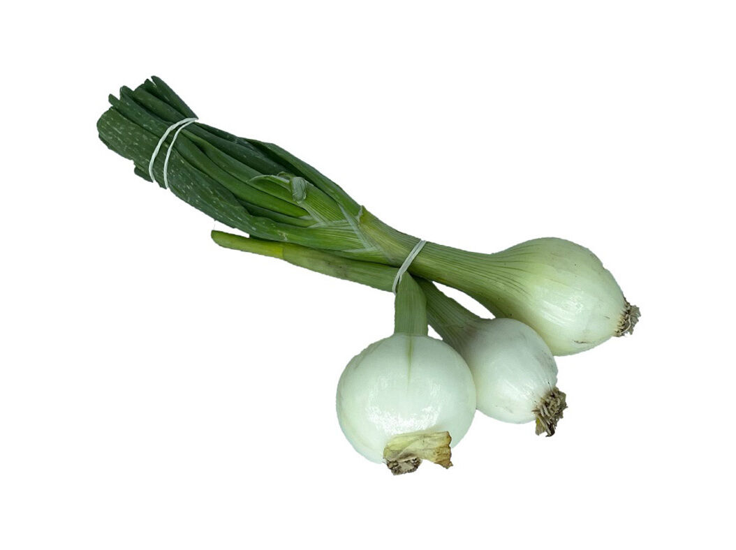 CEBOLA FRESCA BIO QUINTA DAS M&Eacute;LIAS KG