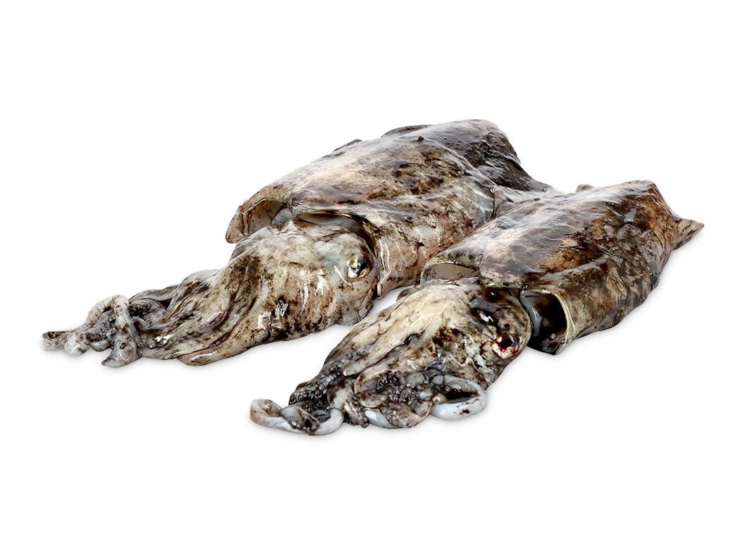 CHOCO KG image number 0