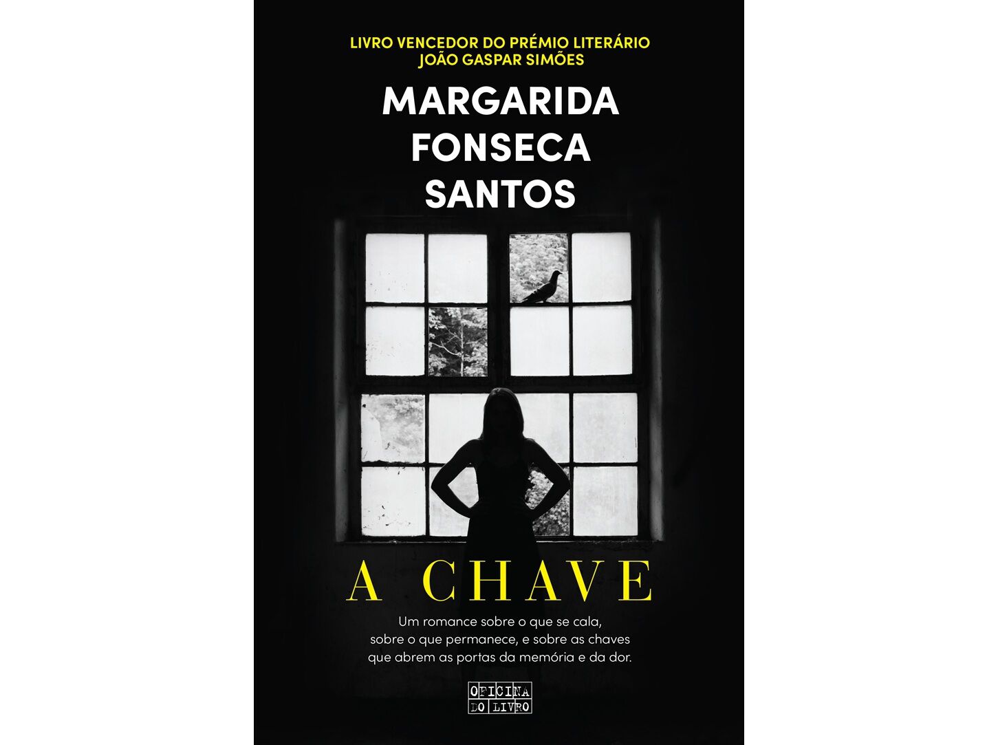 LIVRO A CHAVE image number 0
