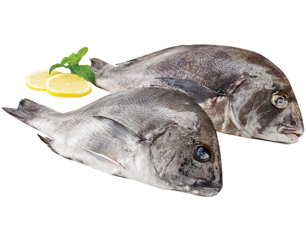 PARGO MULATO KG image number 0