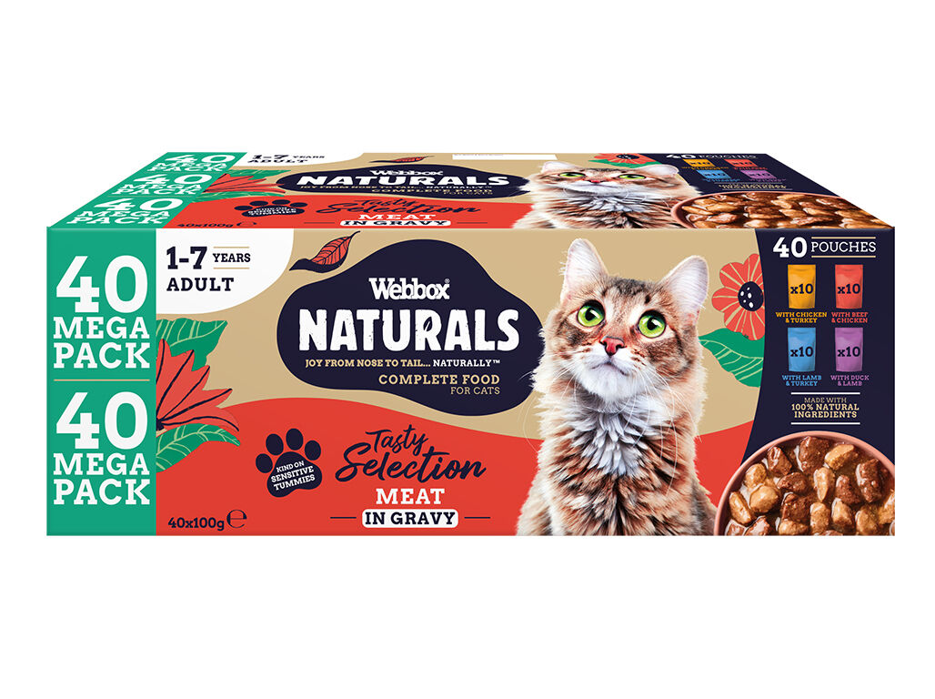 COMIDA HUMIDA GATO WEBBOX MEGAPACK MIX 40X100G image number 1