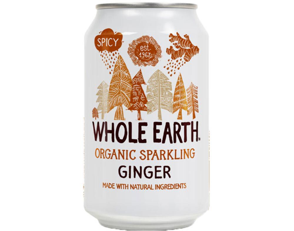 REFRIGERANTE WHOLE EARTH GENGIBRE BIO 330ML