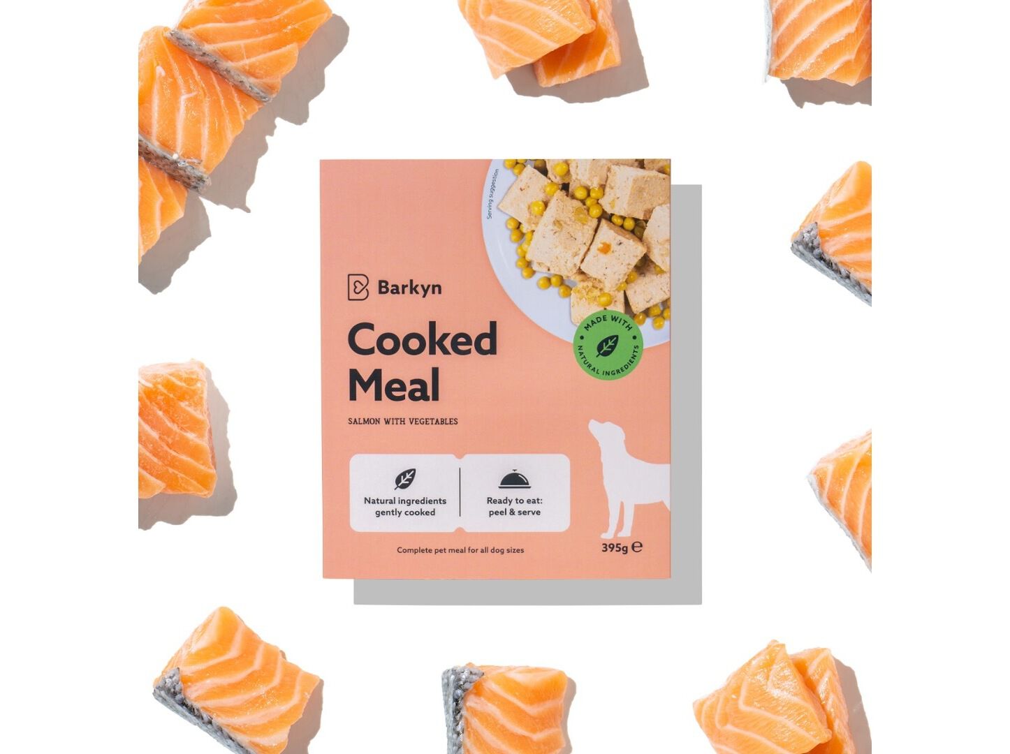 COMIDA H&Uacute;MIDA PARA C&Atilde;O BARKYN SALM&Atilde;O FRESCO E VEGETAIS 395G image number 2