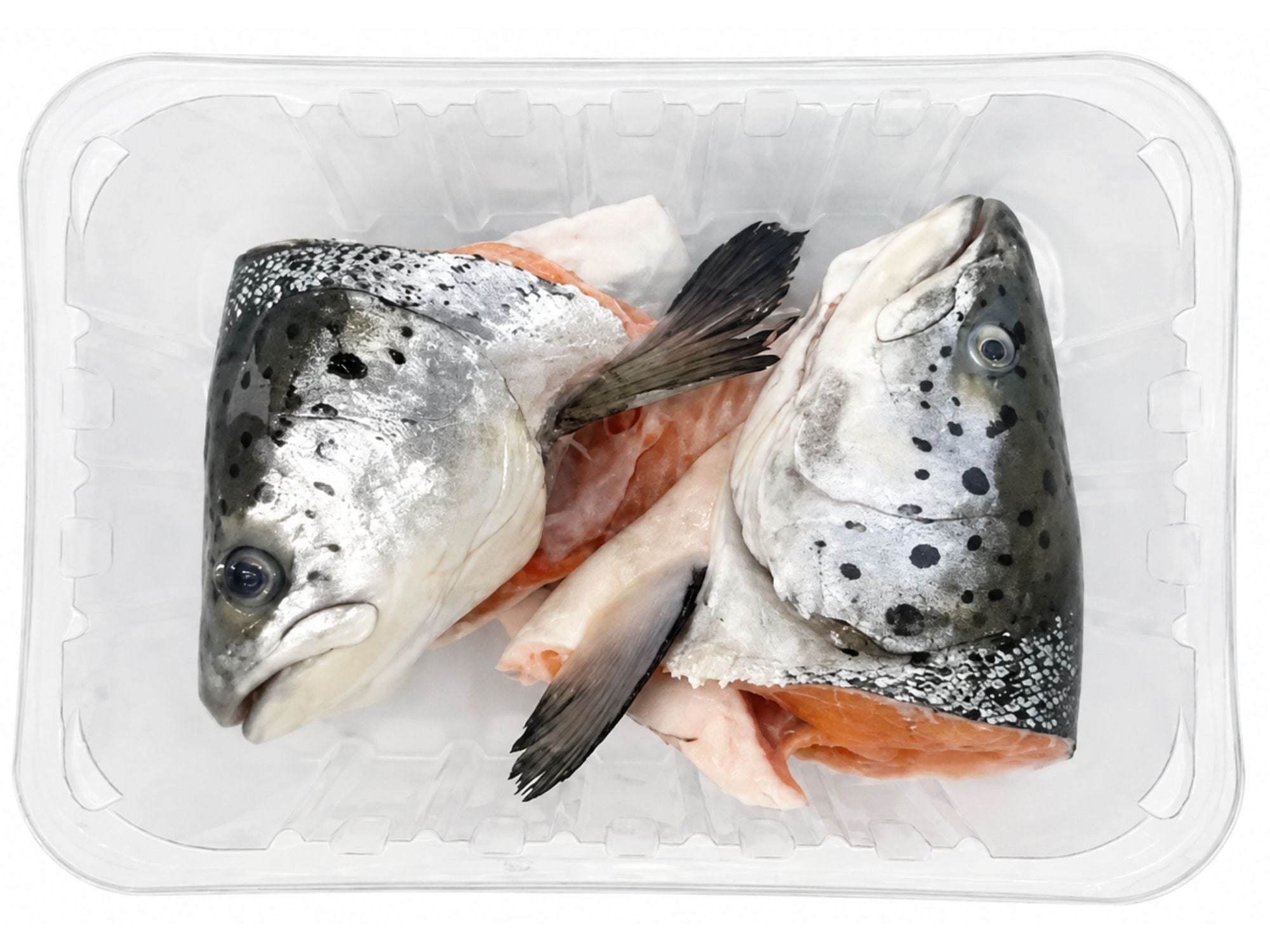 CABE&Ccedil;A SALM&Atilde;O KG