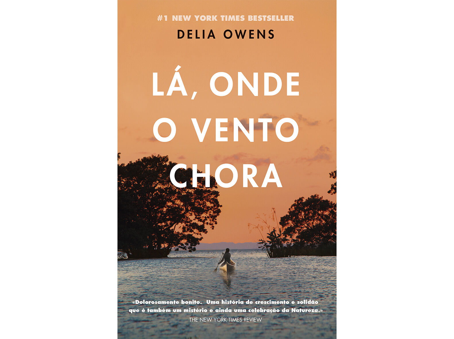 LA ONDE O VENTO CHORA image number 1