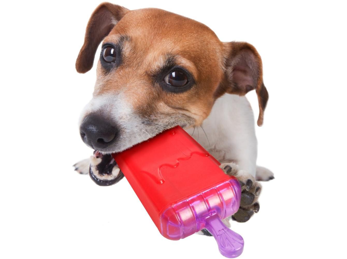 BRINQUEDO C&Atilde;O FLAMINGO GELADO 16CM image number 1