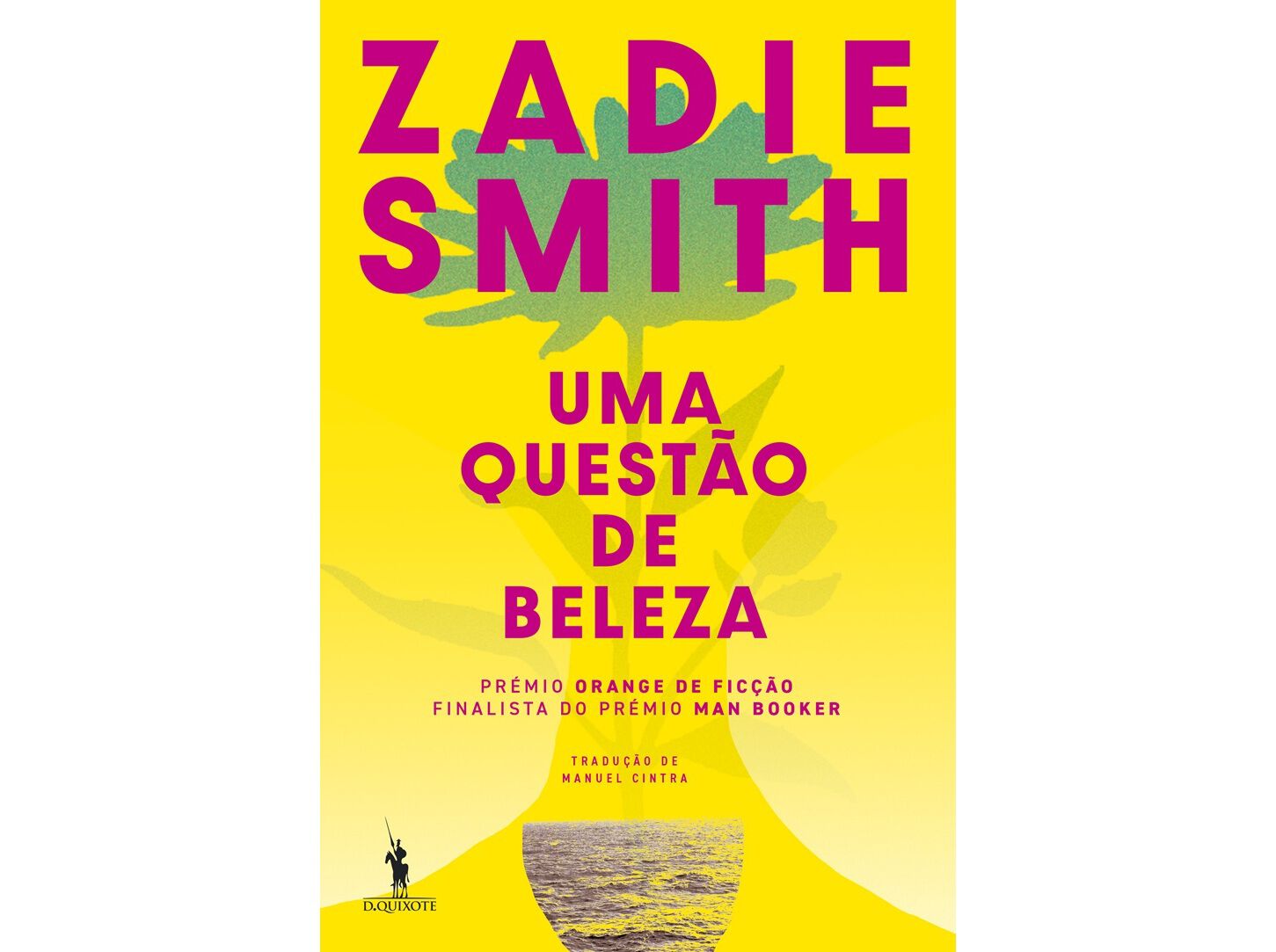 LIVRO UMA QUEST&Atilde;O DE BELEZA DE: ZADIE SMITH image number 0