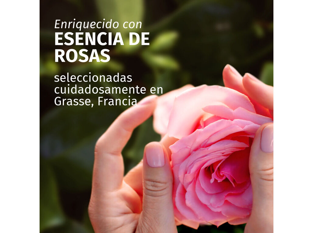 &Oacute;LEO HERBAL SPRAY ROSA 145 ML image number 1