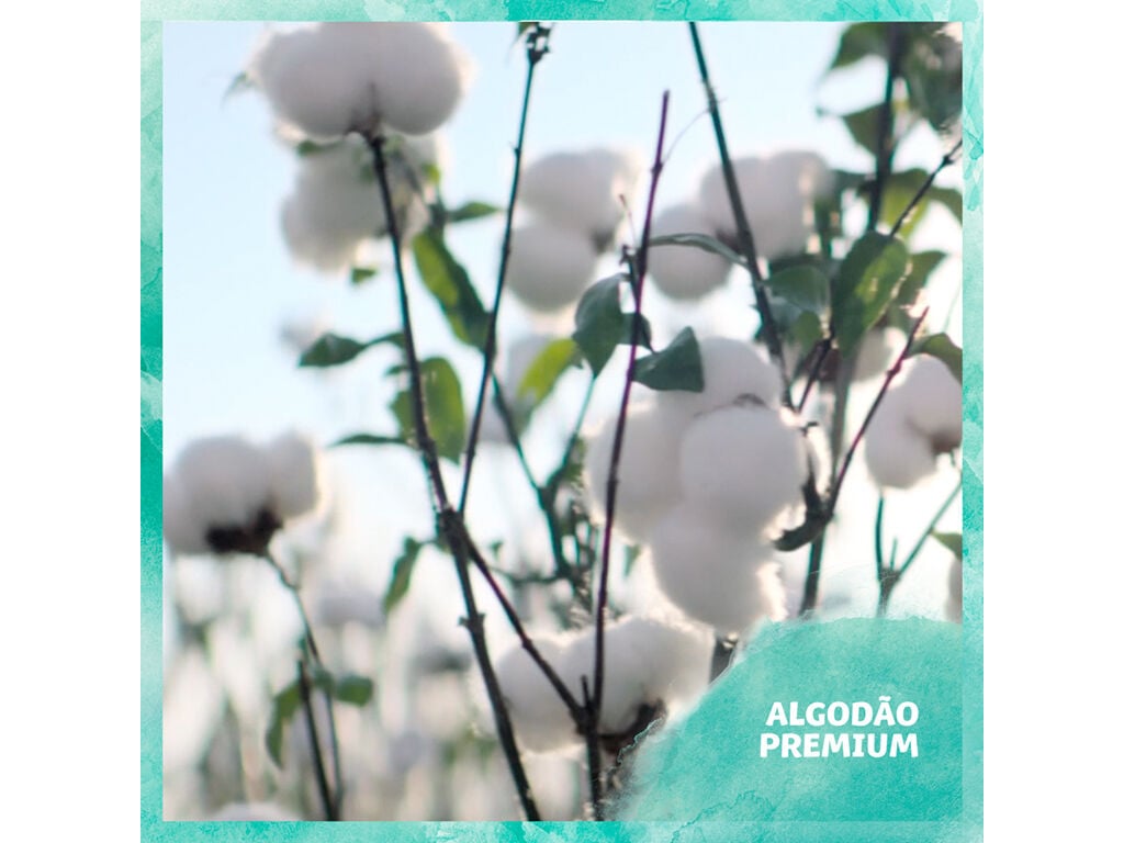 TOALHITAS BEB&Eacute; PURE AQUA DODOT (3X48 UN) 144 UN image number 2