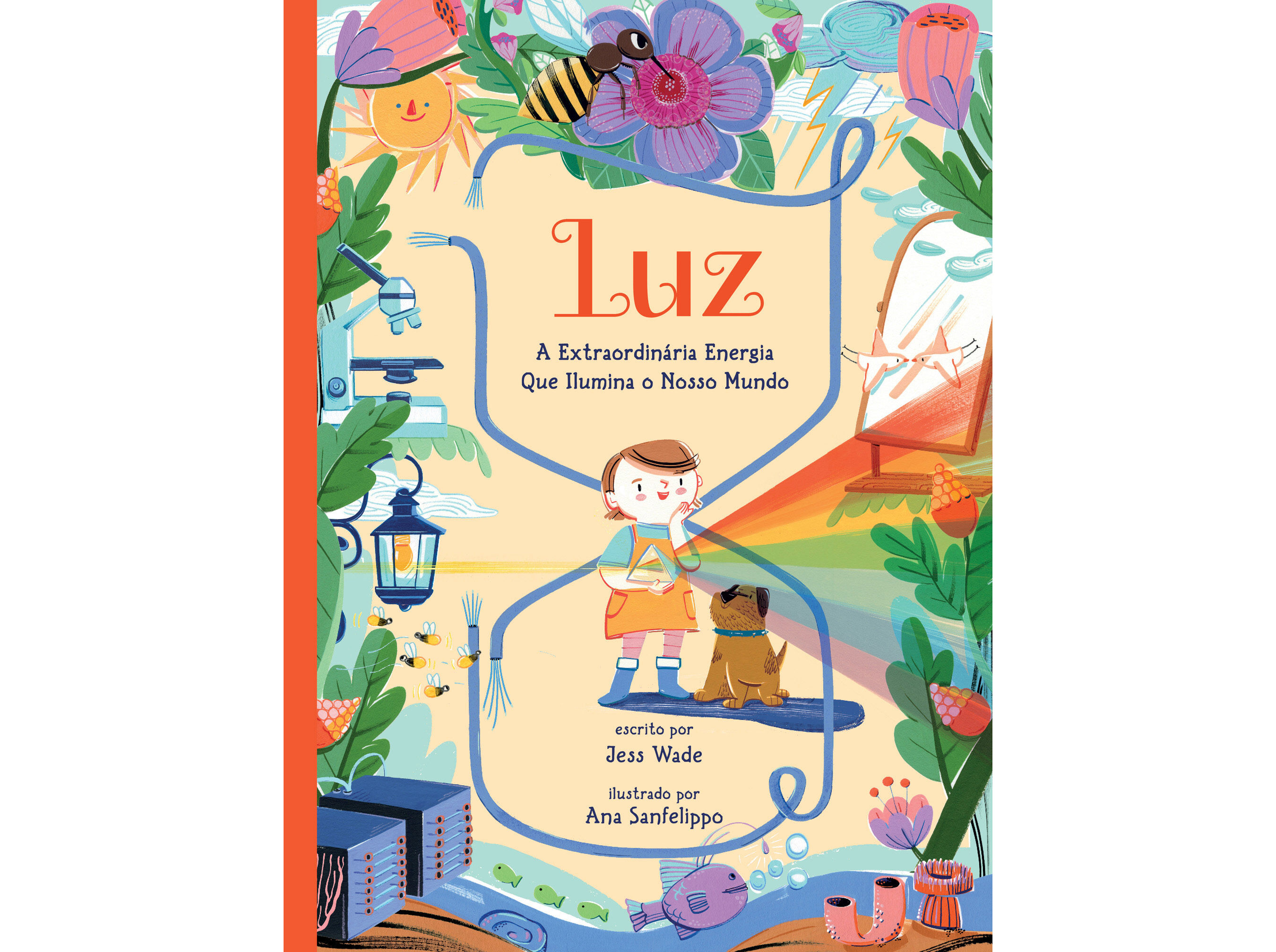 LIVRO LUZ: A EXTRAORDIN&Aacute;RIA ENERGIA QUE ILUMINA O NOSSO MU image number 0