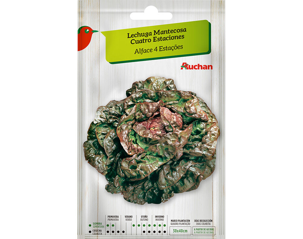 SEMENTE AUCHAN ALFACE 4 ESTA&Ccedil;&Otilde;ES