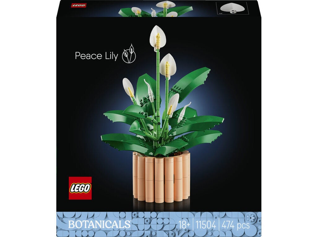 L&Iacute;RIO-DA-PAZ LEGO BOTANICALS 11504