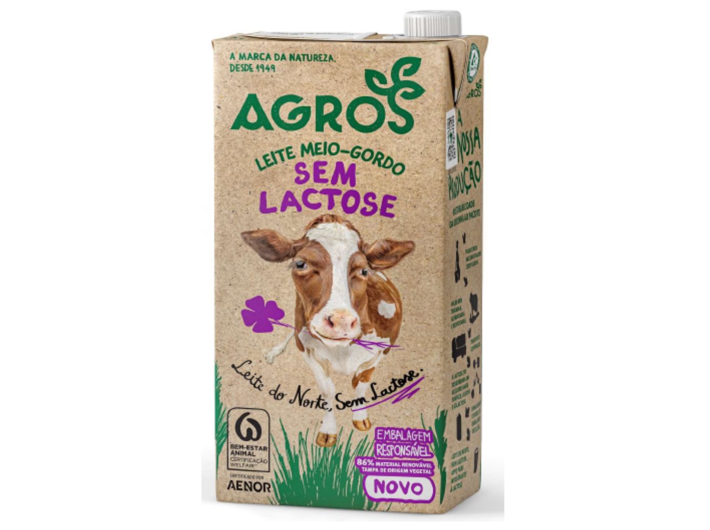 LEITE SEM LACTOSE AGROS MEIO GORDO 1L image number 1