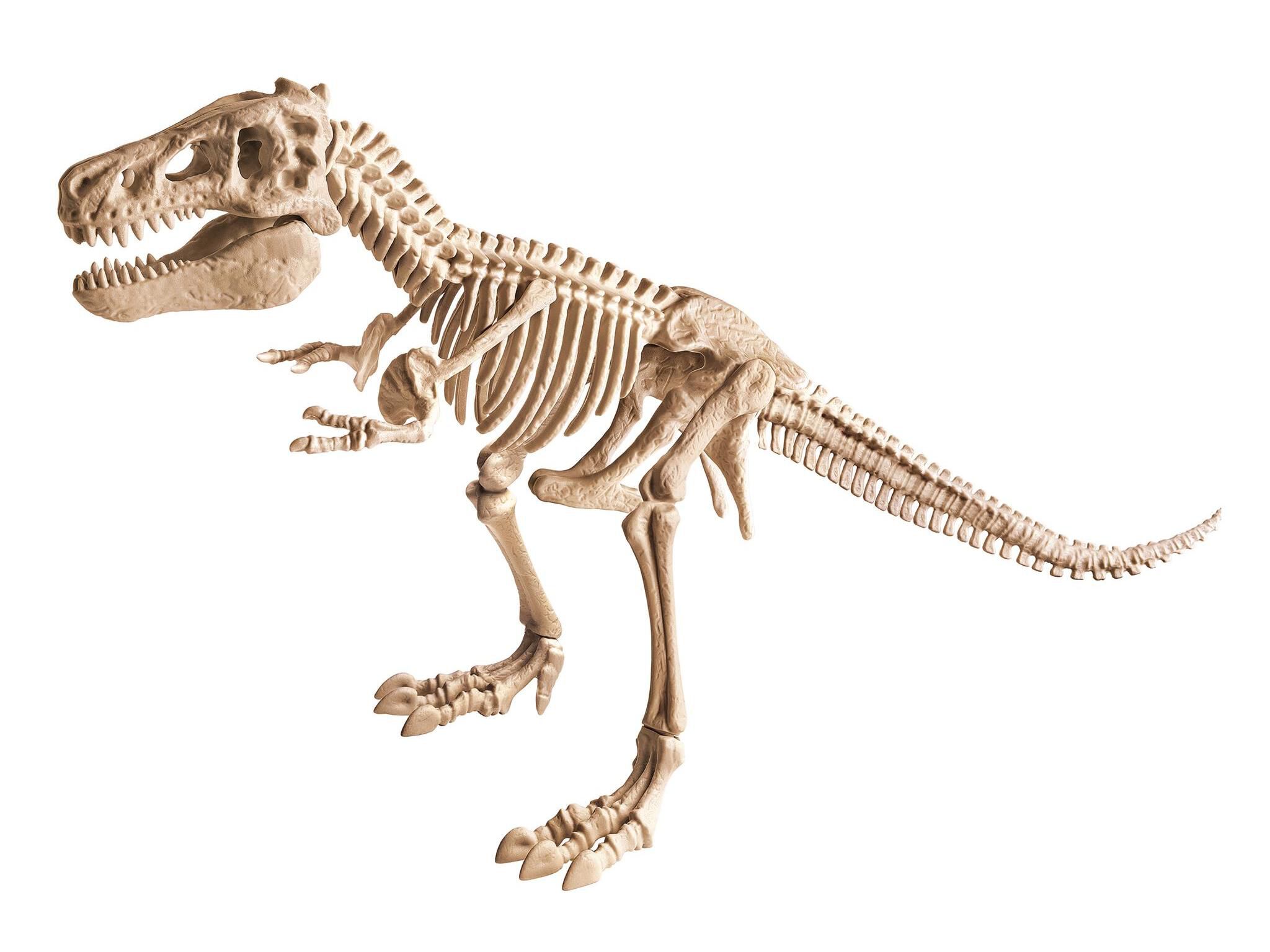 KIT ARQUEOLOGIA CLEMENTONI T-REX GIGANTE image number 1
