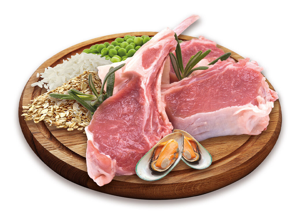 RA&Ccedil;&Atilde;O C&Atilde;O PETFIELD PREMIUM BORREGO/ARROZ 4KG image number 1