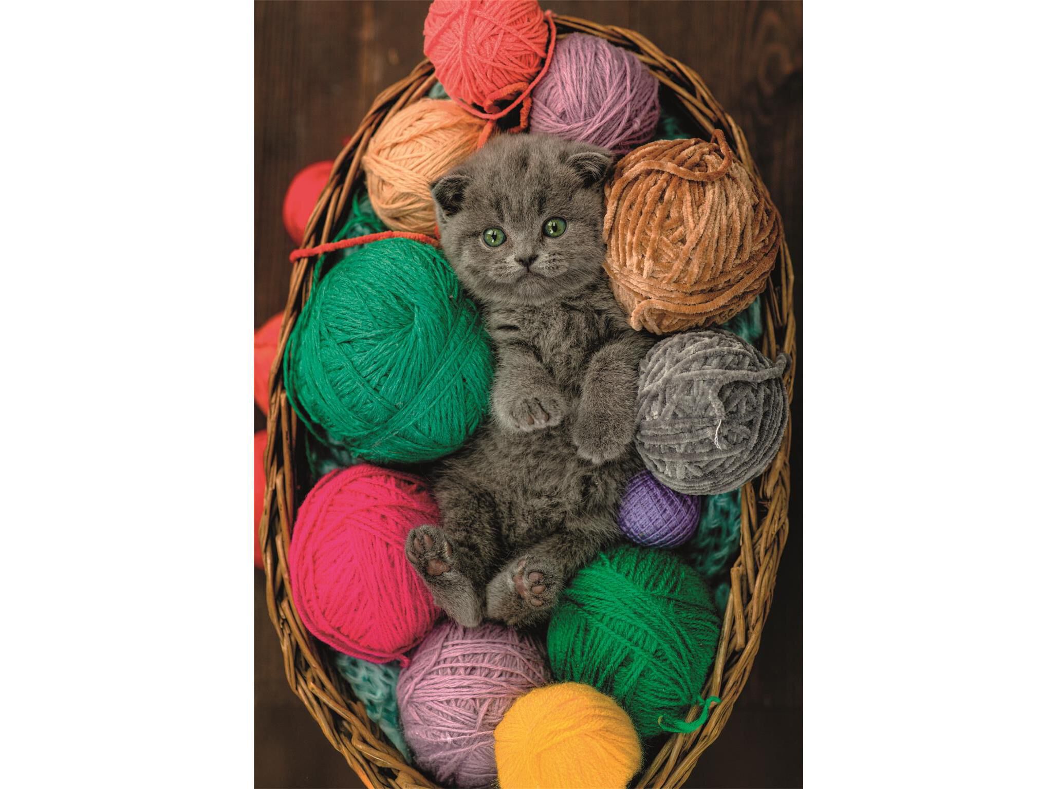 PUZZLE CLEMENTONI FLUFFY KITTEN 500 PE&Ccedil;AS image number 1