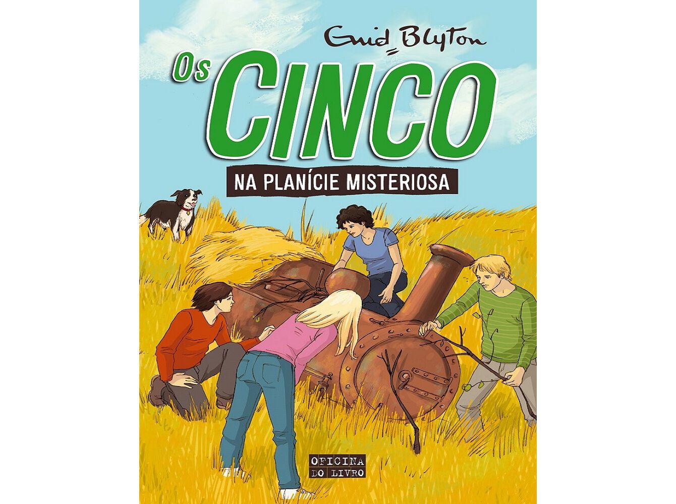 OS CINCO N13 NA PLANICIE MISTERIOSA image number 0