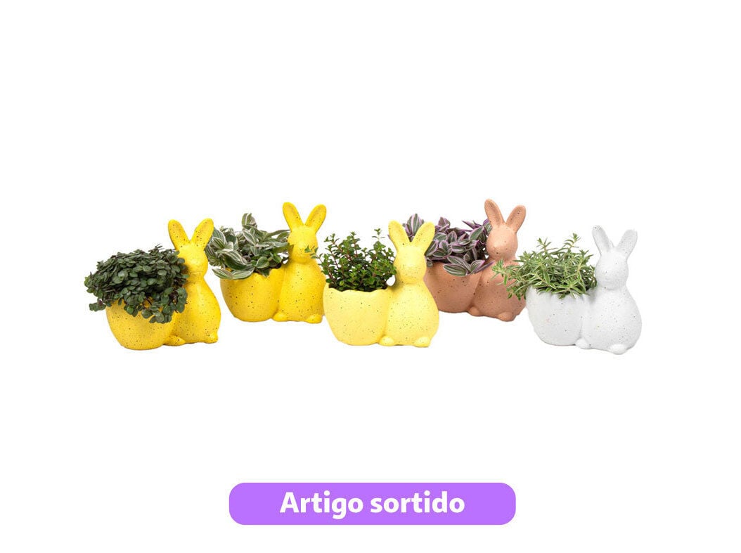 MINI PLANTAS VERDES MIX VASO COELHO CERAMICA VASO 6 MODELOS SORTIDOS