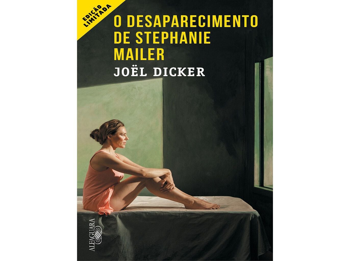 LIVRO O DESAPARECIMENTO STEPHANIE MAILER image number 1