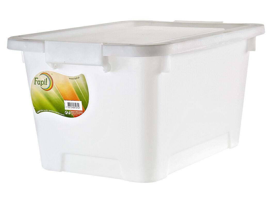 CAIXA COM TAMPA FAPIL 20L 43X31X23CM CORES SORTIDAS image number 1