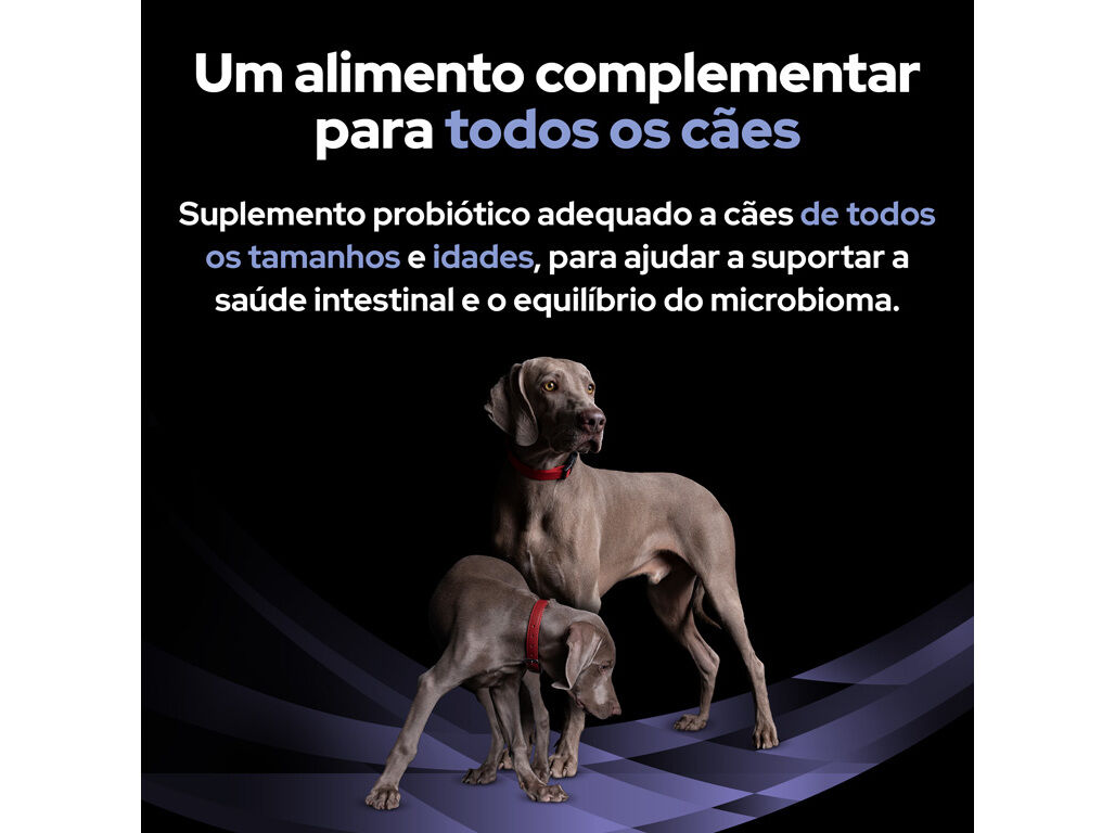 SUPLEMENTO PROBI&Oacute;TICO PRO PLAN C&Atilde;O FORTIFLORA 7X1G image number 7
