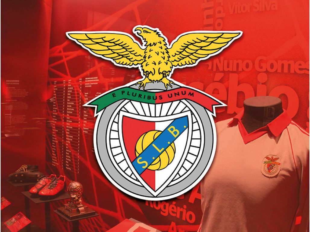 ENTRETENIMENTO ODISSEIAS SLBENFICA TOUR EST&Aacute;DIO E MUSEU image number 2